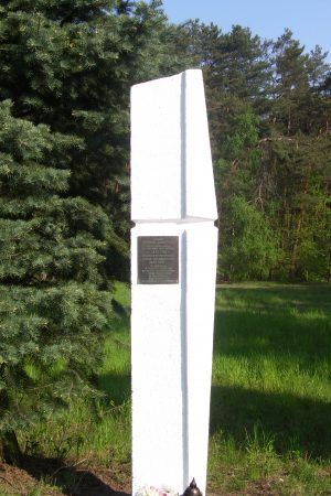 Pomnik upamiętniający Kaszyńskiego